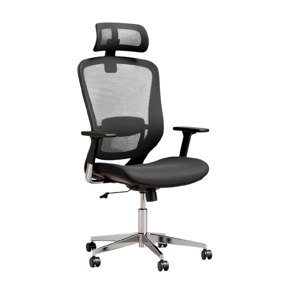 Chaise de bureau ergonomique avec support dorsal en maille